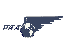 PN