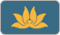 VN